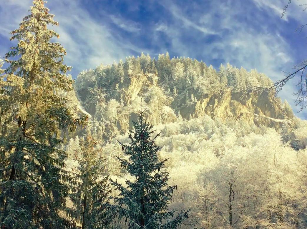 Kunst- Und Naturfreundehaus Bruenig Lungern Zewnętrze zdjęcie