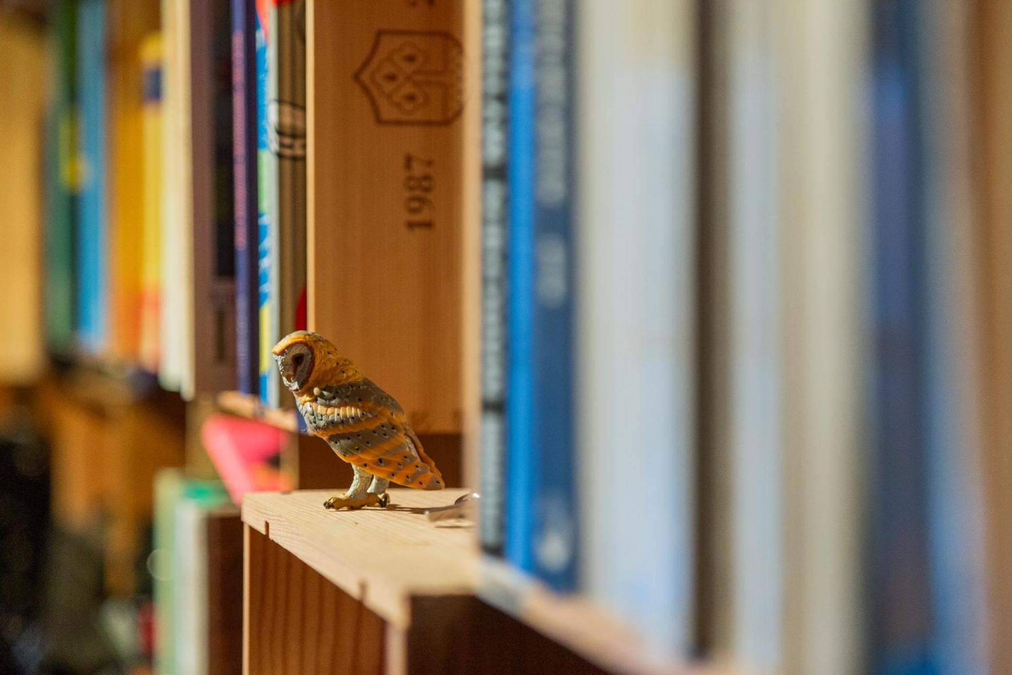Kunst- Und Naturfreundehaus Bruenig Lungern Zewnętrze zdjęcie
