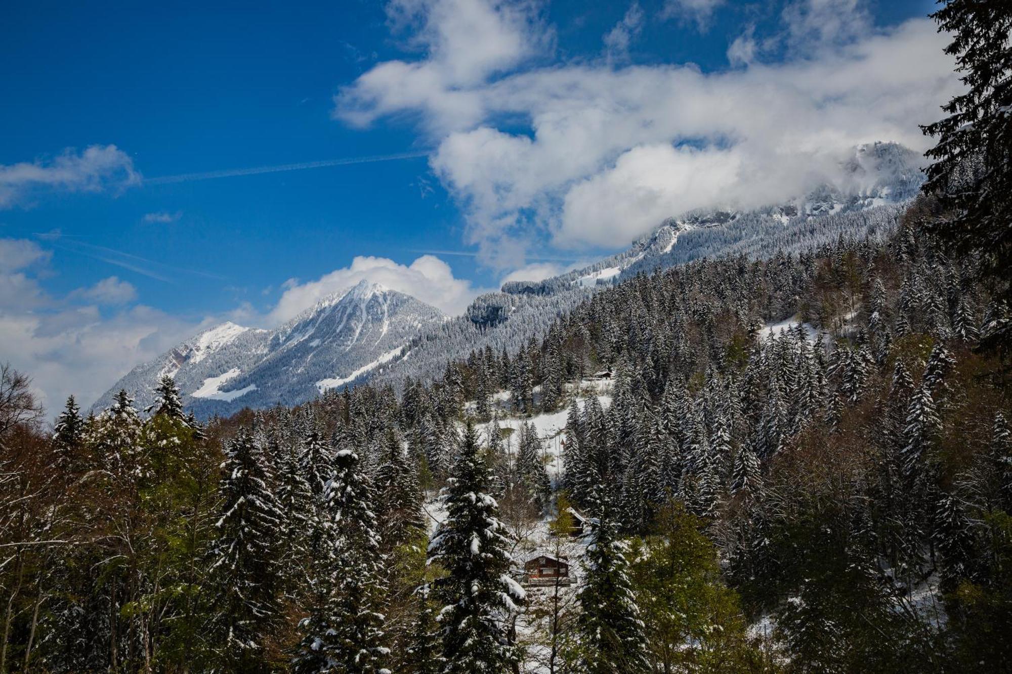 Kunst- Und Naturfreundehaus Bruenig Lungern Zewnętrze zdjęcie